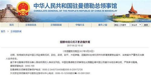 爆料缅甸网红视频,真实生活背后的震撼画面  第2张